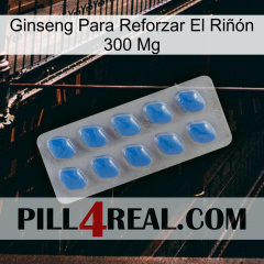 Ginseng Para Reforzar El Riñón 300 Mg 22